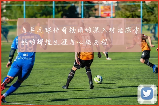 与乒乓球传奇杨丽的深入对话探索她的辉煌生涯与心路历程