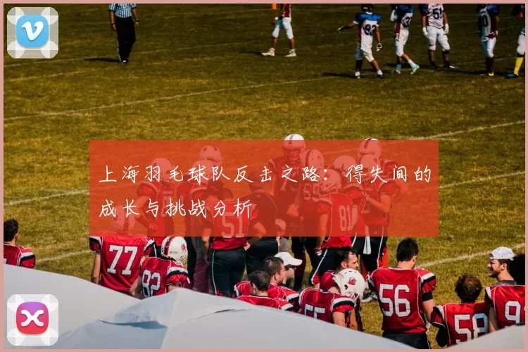 上海羽毛球队反击之路：得失间的成长与挑战分析