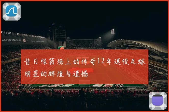 昔日绿茵场上的传奇12年退役足球明星的辉煌与遗憾