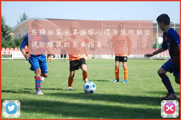陈强独家分享排球心得与技巧助你提升球技的全面指南