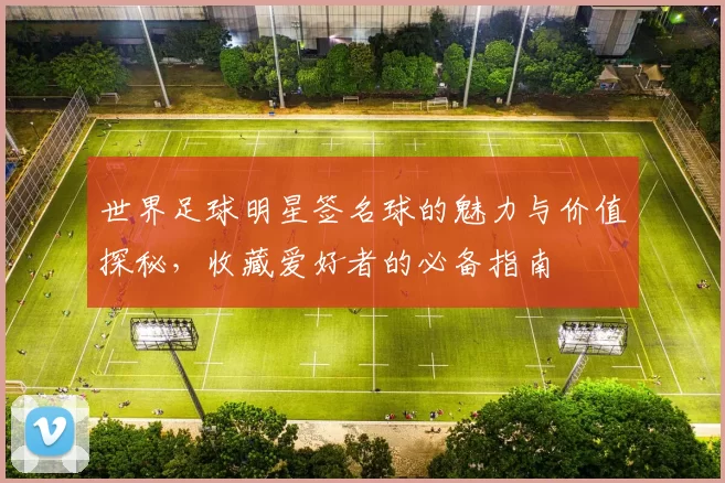 世界足球明星签名球的魅力与价值探秘，收藏爱好者的必备指南