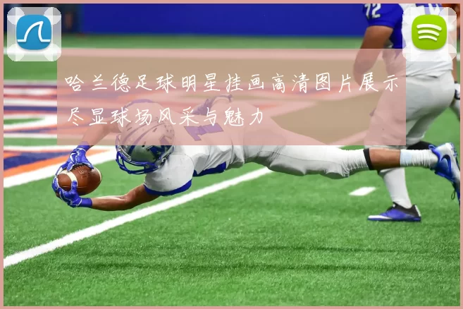 哈兰德足球明星挂画高清图片展示尽显球场风采与魅力